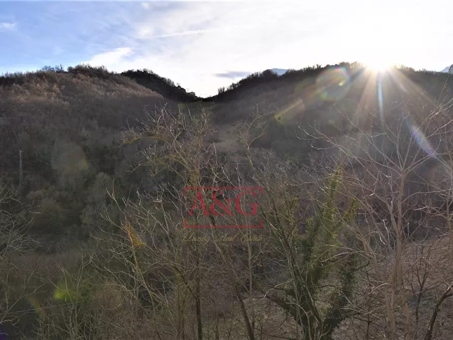 Immagine 42 di Appartamento in vendita  in Località Campodarte 22 a Montefortino