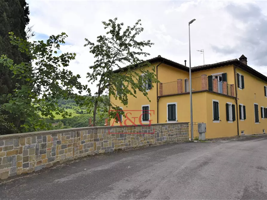 Immagine 2 di Villa in vendita  in località sossasso snc a Montefortino