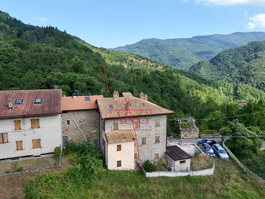 Immagine 49 di Casa indipendente in vendita  in Località Piano a Montegallo