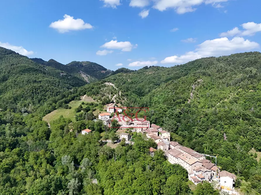Immagine 58 di Casa indipendente in vendita  in Località Piano a Montegallo
