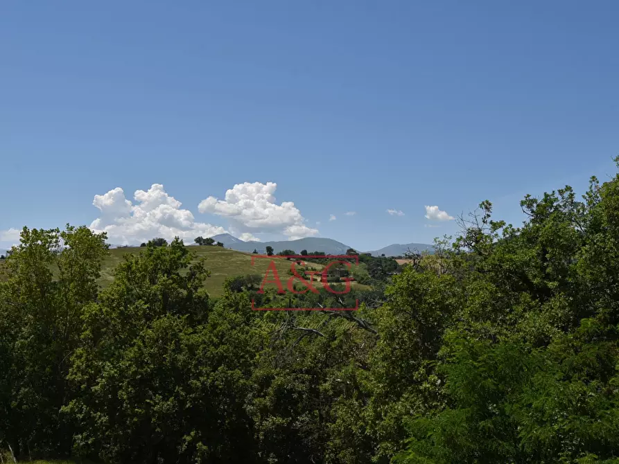 Immagine 39 di Casa indipendente in vendita  in Contrada Cornacchioni 57 a Penna San Giovanni