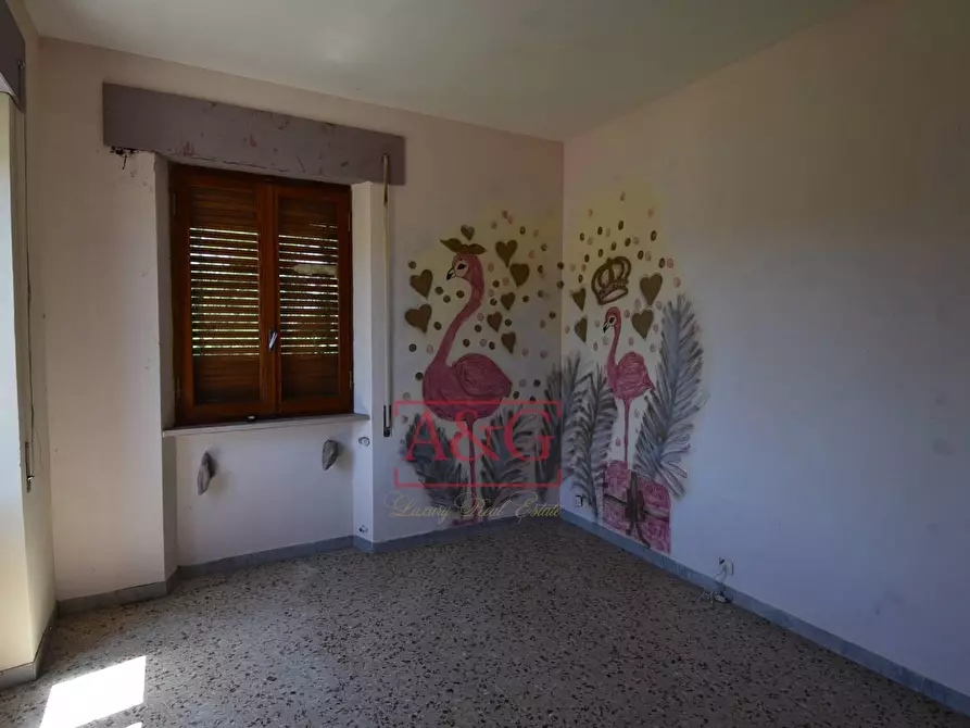Immagine 42 di Casa indipendente in vendita  in Contrada Cornacchioni 57 a Penna San Giovanni