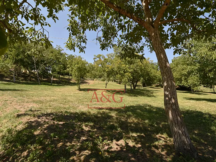 Immagine 67 di Rustico / casale in vendita  in VILLA CACCIANEBBIA a Amandola