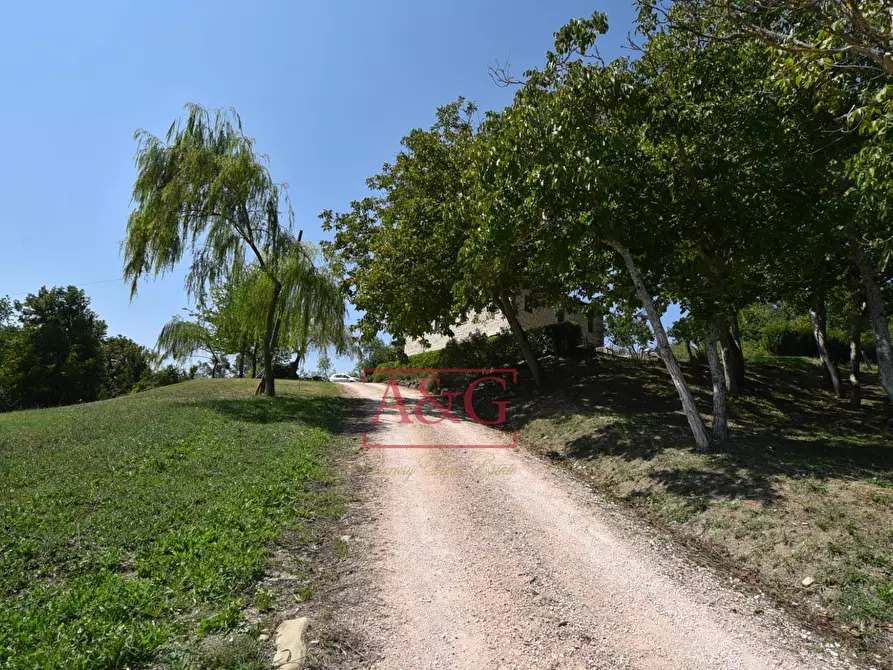 Immagine 69 di Rustico / casale in vendita  in VILLA CACCIANEBBIA a Amandola