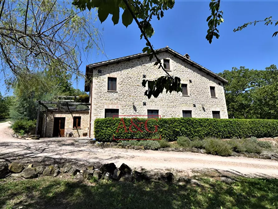 Immagine 7 di Rustico / casale in vendita  in VILLA CACCIANEBBIA a Amandola
