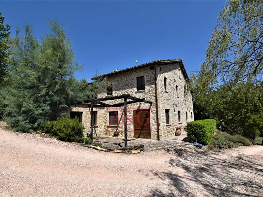 Immagine 8 di Rustico / casale in vendita  in VILLA CACCIANEBBIA a Amandola
