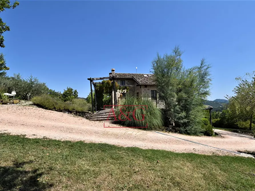 Immagine 66 di Rustico / casale in vendita  in VILLA CACCIANEBBIA a Amandola