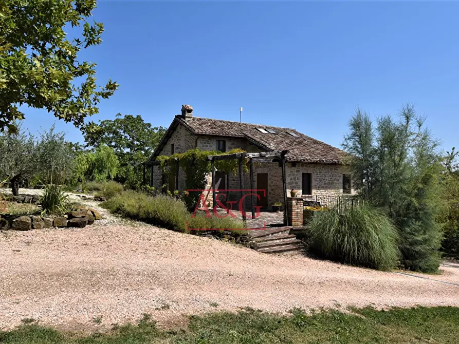 Immagine 9 di Rustico / casale in vendita  in VILLA CACCIANEBBIA a Amandola