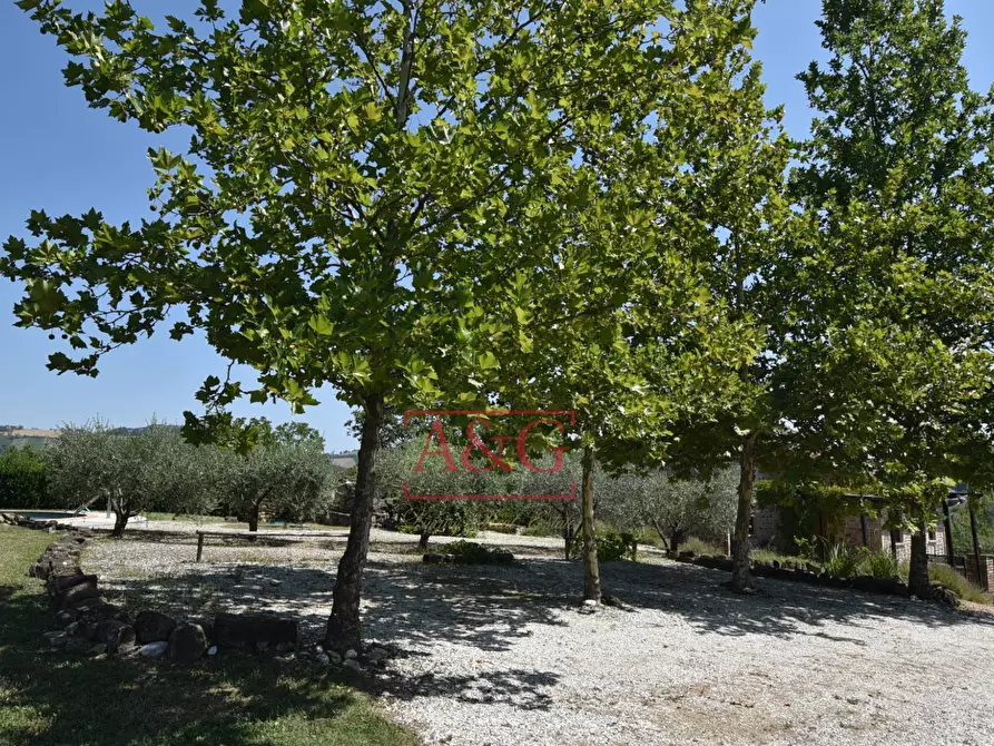 Immagine 70 di Rustico / casale in vendita  in VILLA CACCIANEBBIA a Amandola