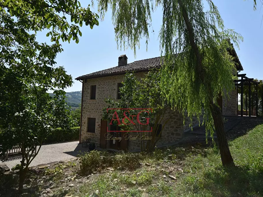 Immagine 56 di Rustico / casale in vendita  in VILLA CACCIANEBBIA a Amandola