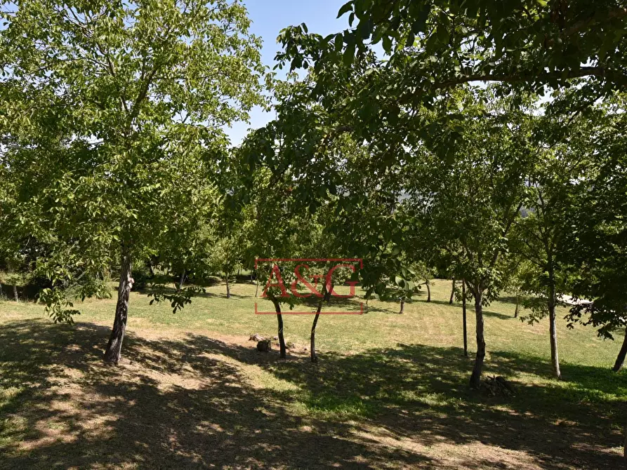 Immagine 73 di Rustico / casale in vendita  in VILLA CACCIANEBBIA a Amandola