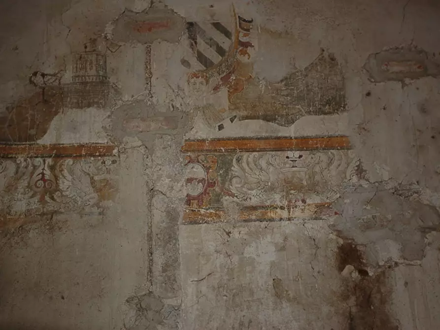 Immagine 11 di Casa indipendente in vendita  a Montefortino