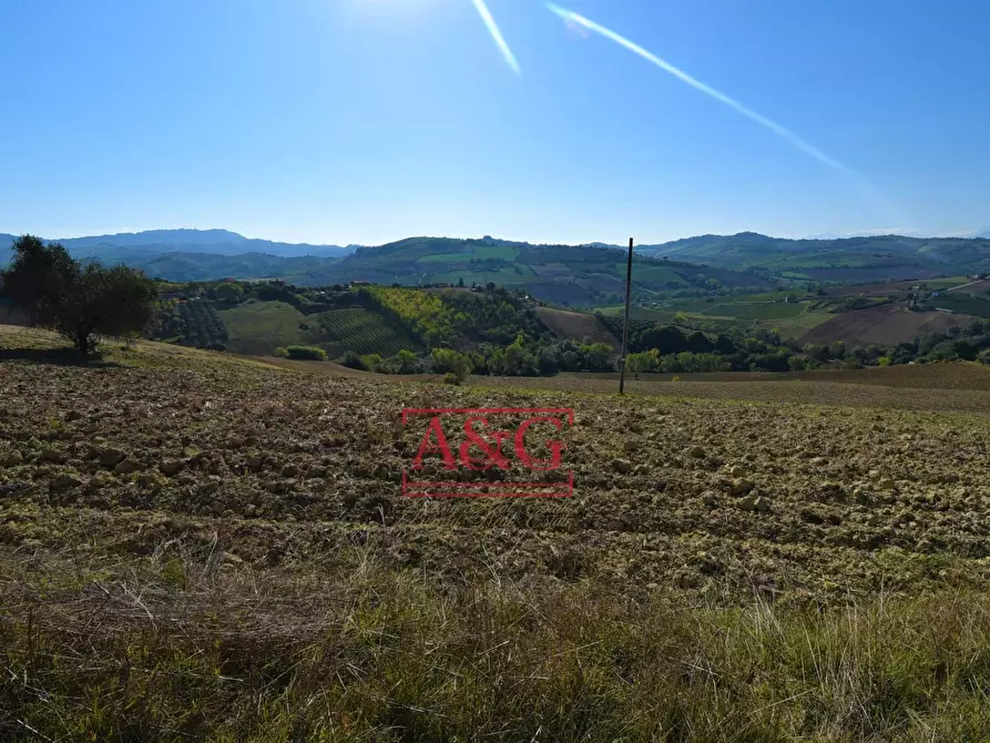 Immagine 2 di Terreno agricolo in vendita  in contrada Menocchia a Carassai
