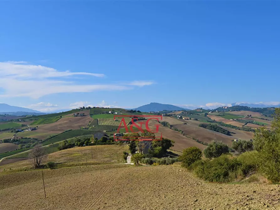 Immagine 1 di Terreno agricolo in vendita  in contrada Menocchia a Carassai