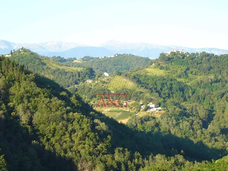 Immagine 20 di Villa in vendita  in villa pagani a Ascoli Piceno