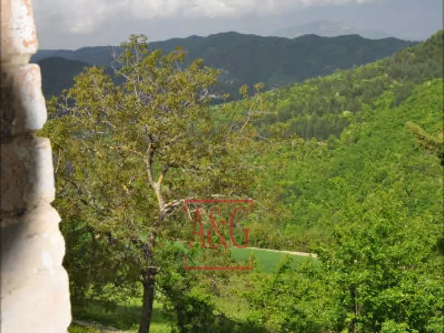 Immagine 23 di Rustico / casale in vendita  in FRAZIONE OSOLI a Roccafluvione