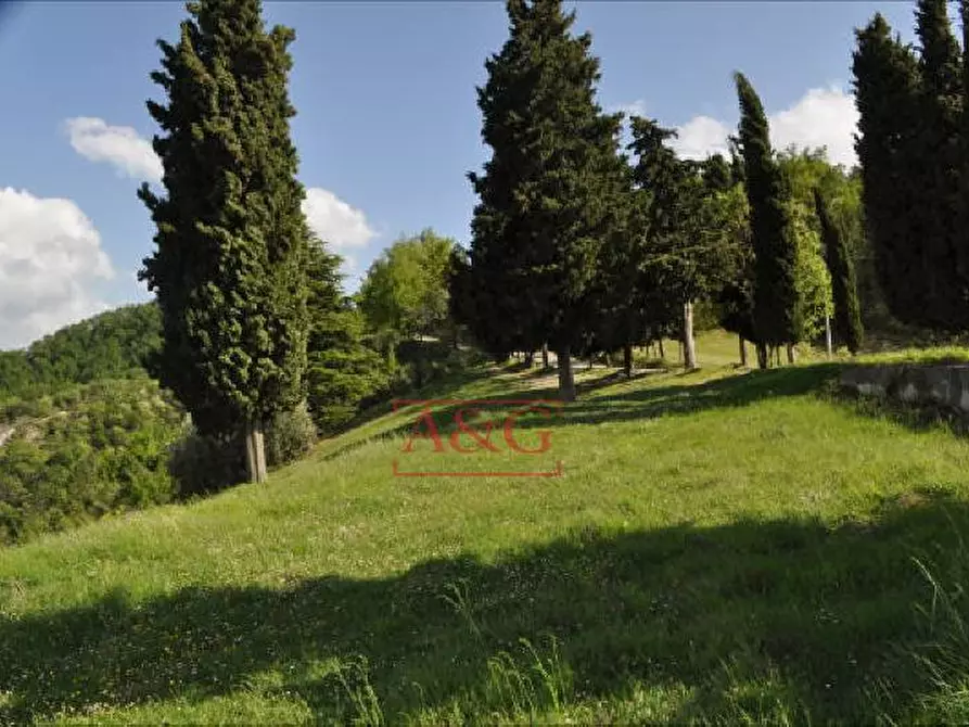 Immagine 24 di Rustico / casale in vendita  in FRAZIONE OSOLI a Roccafluvione