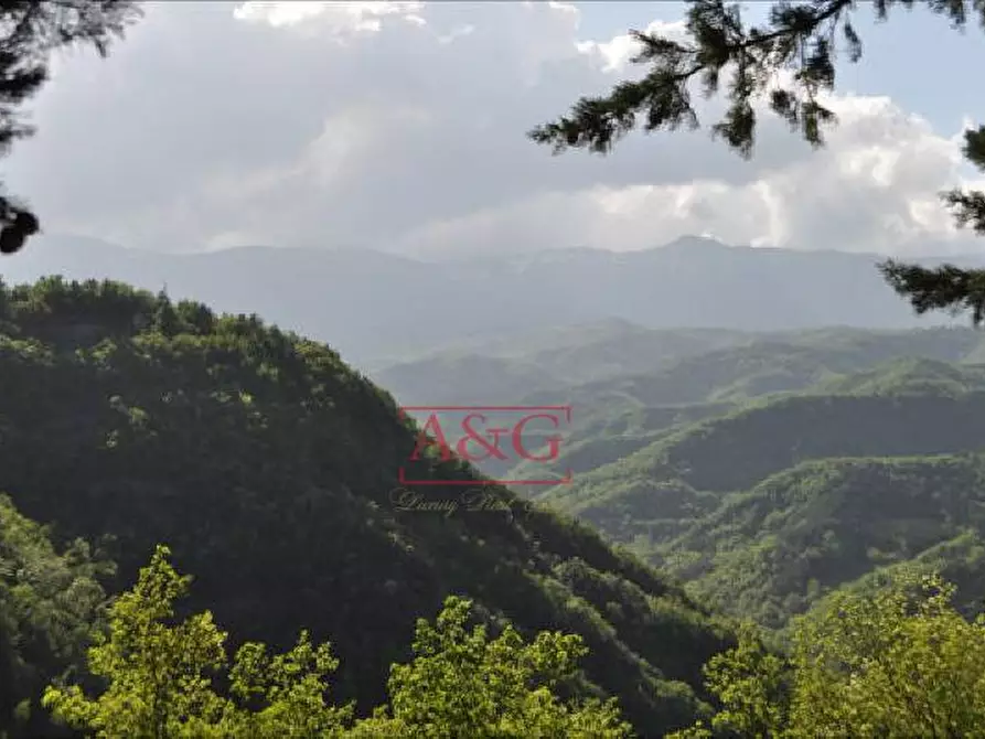 Immagine 20 di Rustico / casale in vendita  in FRAZIONE OSOLI a Roccafluvione