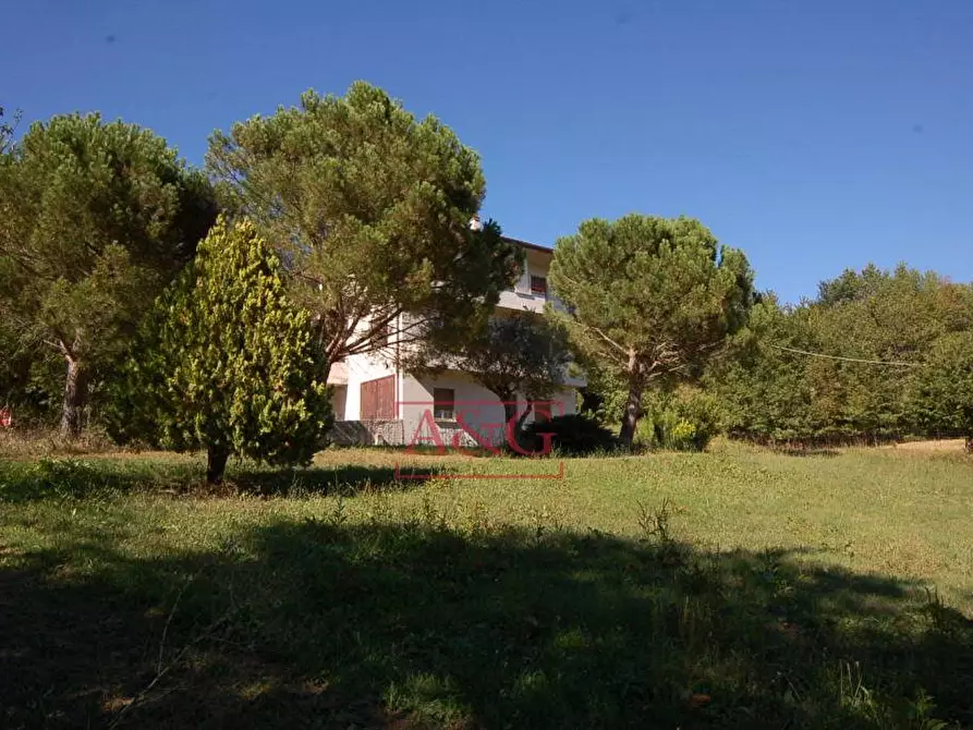 Immagine 8 di Appartamento in vendita  in amandola a Amandola