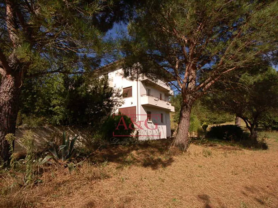 Immagine 2 di Appartamento in vendita  in amandola a Amandola