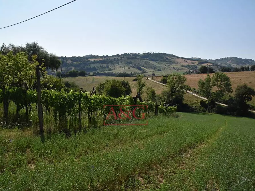 Immagine 22 di Rustico / casale in vendita  a Amandola