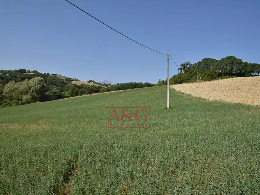 Immagine 23 di Rustico / casale in vendita  a Amandola