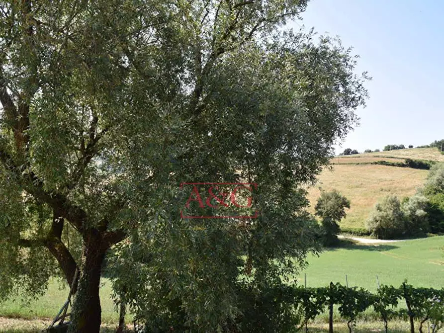 Immagine 28 di Rustico / casale in vendita  a Amandola