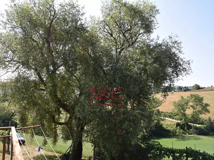 Immagine 29 di Rustico / casale in vendita  a Amandola