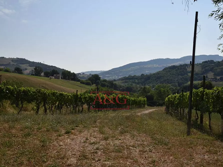 Immagine 30 di Rustico / casale in vendita  a Amandola