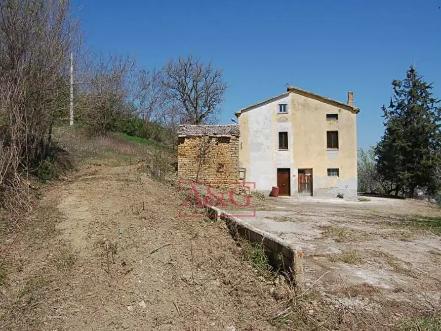Immagine 2 di Rustico / casale in vendita  in GRAMSCI a Force