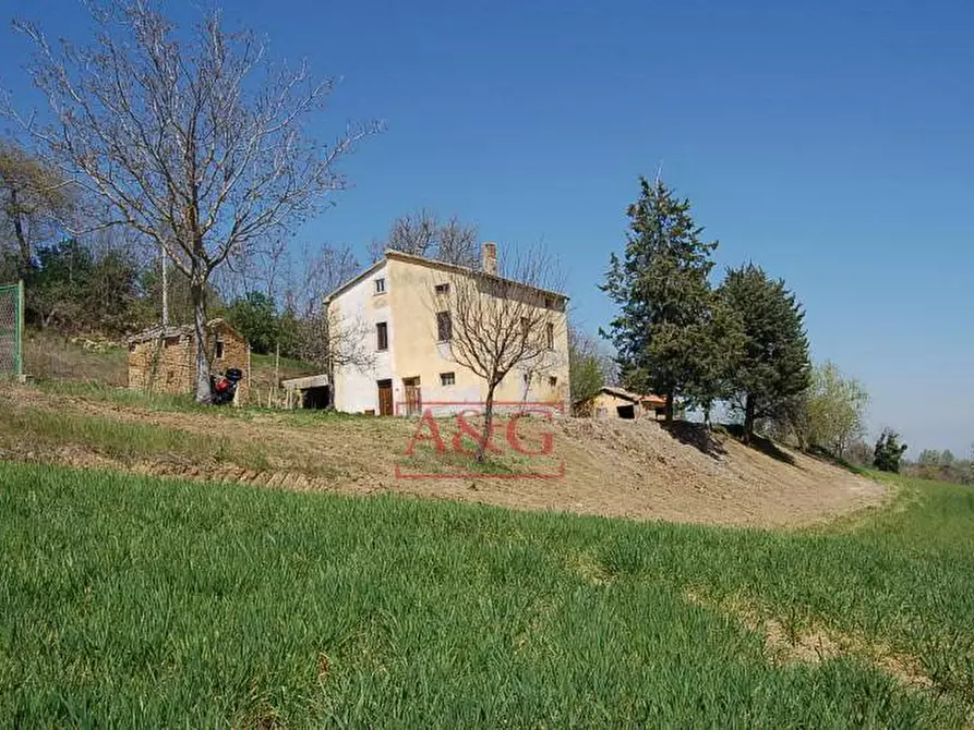 Immagine 3 di Rustico / casale in vendita  in GRAMSCI a Force