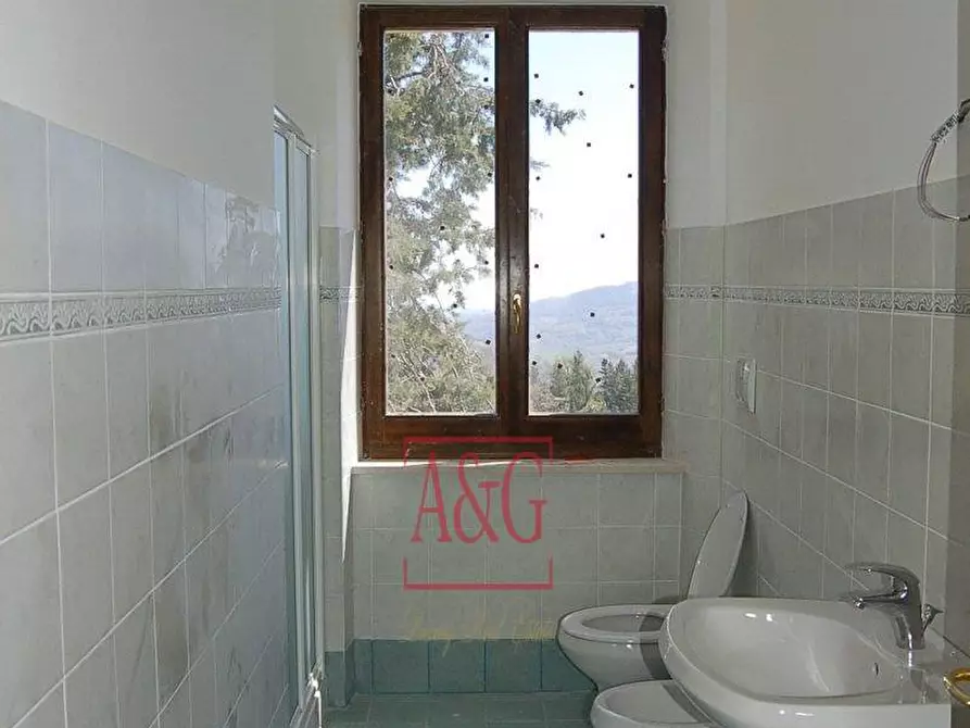 Immagine 9 di Rustico / casale in vendita  in GRAMSCI a Force