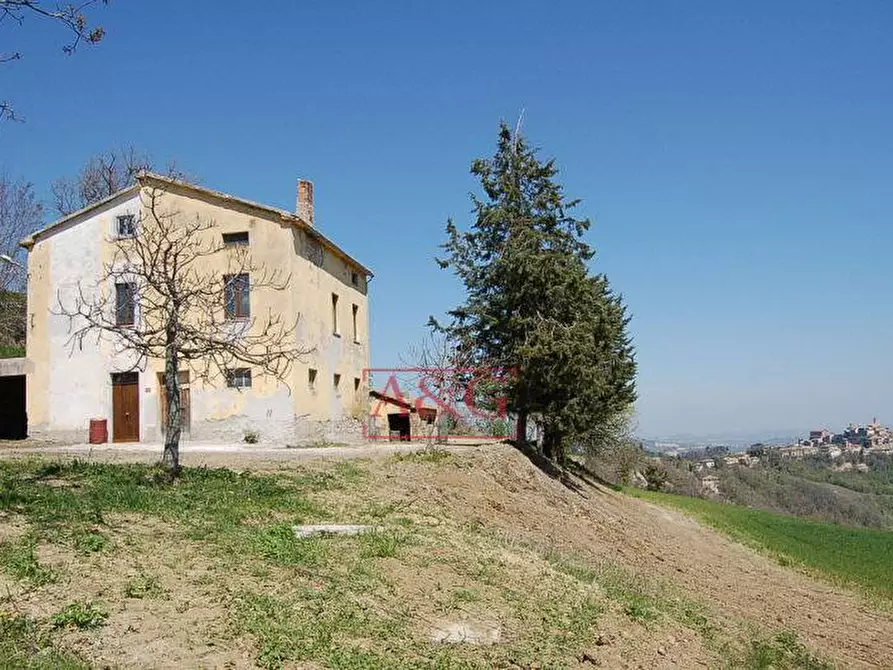 Immagine 14 di Rustico / casale in vendita  in GRAMSCI a Force