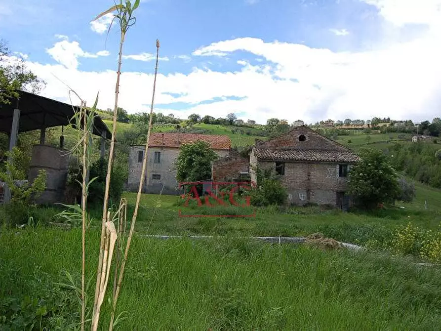 Immagine 12 di Rustico / casale in vendita  in ripaberarda a Castignano