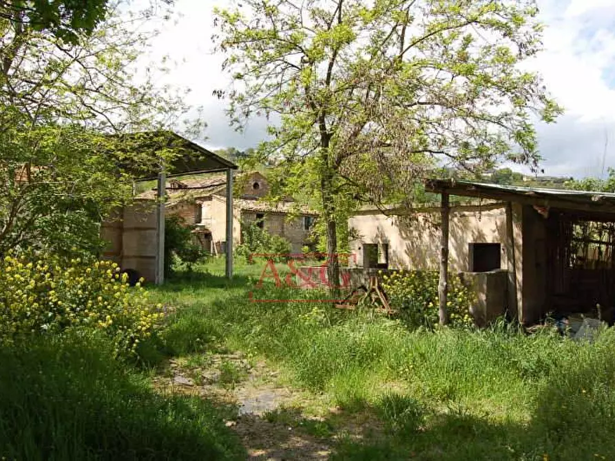 Immagine 9 di Rustico / casale in vendita  in ripaberarda a Castignano