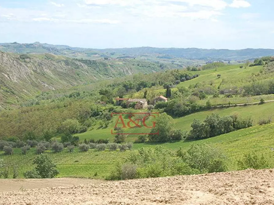 Immagine 13 di Rustico / casale in vendita  in ripaberarda a Castignano