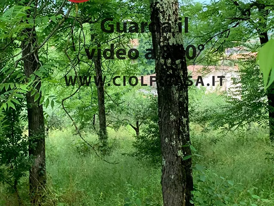 Immagine 2 di Terreno agricolo in vendita  a Cervaro