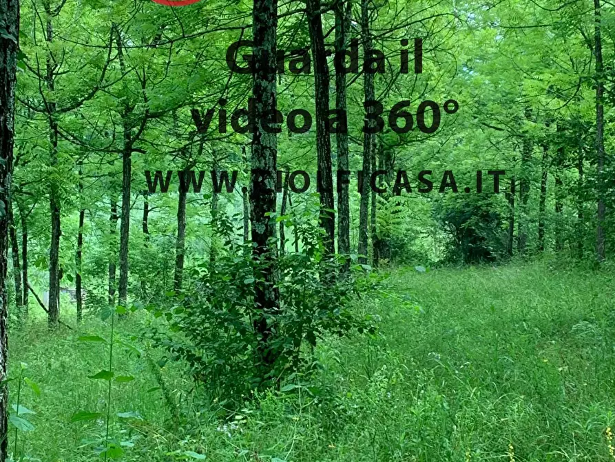 Immagine 3 di Terreno agricolo in vendita  a Cervaro