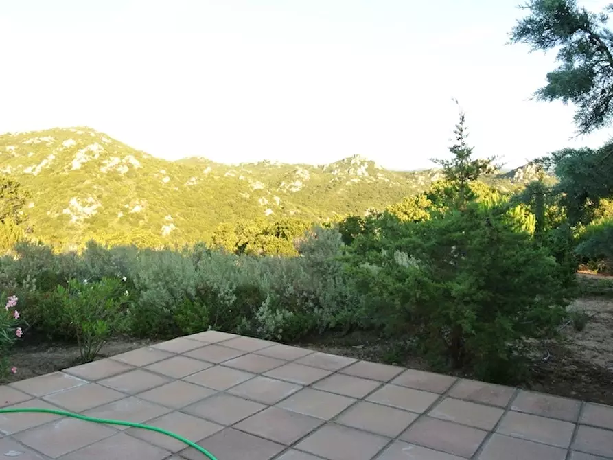 Immagine 13 di Appartamento in vendita  in Loc. Costa Paradiso a Trinità D'agultu E Vignola