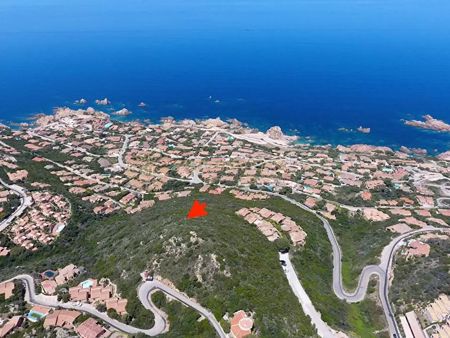 Immagine 6 di Terreno residenziale in vendita  a Trinità D'agultu E Vignola