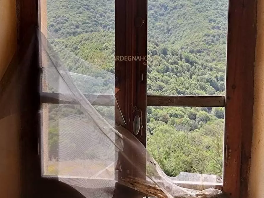 Immagine 29 di Rustico / casale in vendita  a Aggius