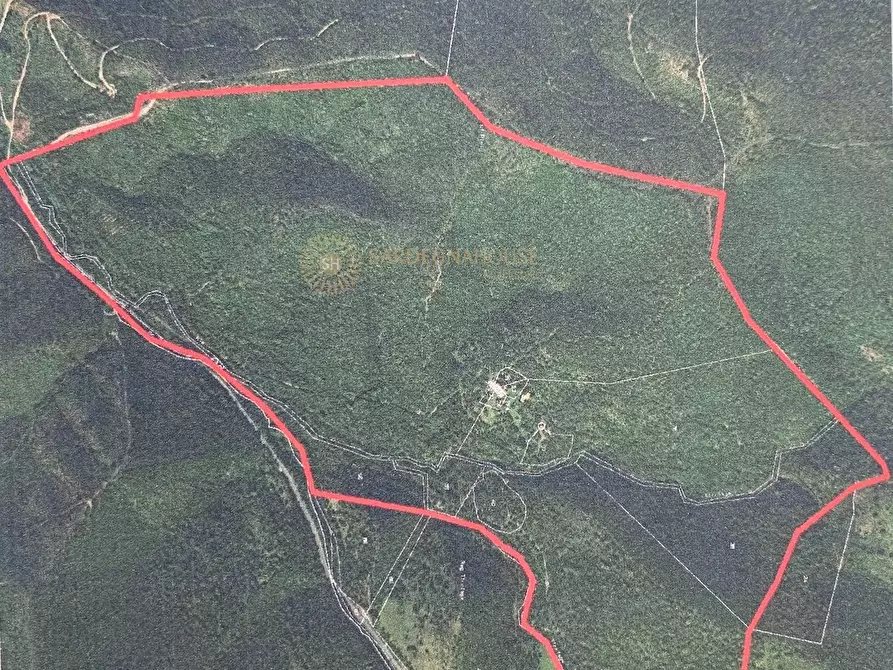 Immagine 33 di Rustico / casale in vendita  a Aggius