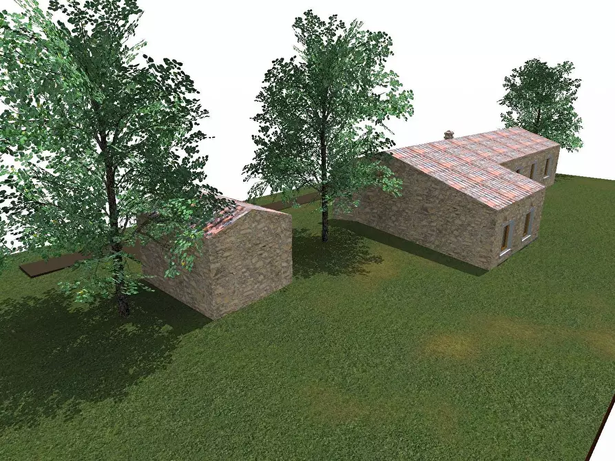 Immagine 7 di Rustico / casale in vendita  in Loc. Paduledda a Trinità D'agultu E Vignola