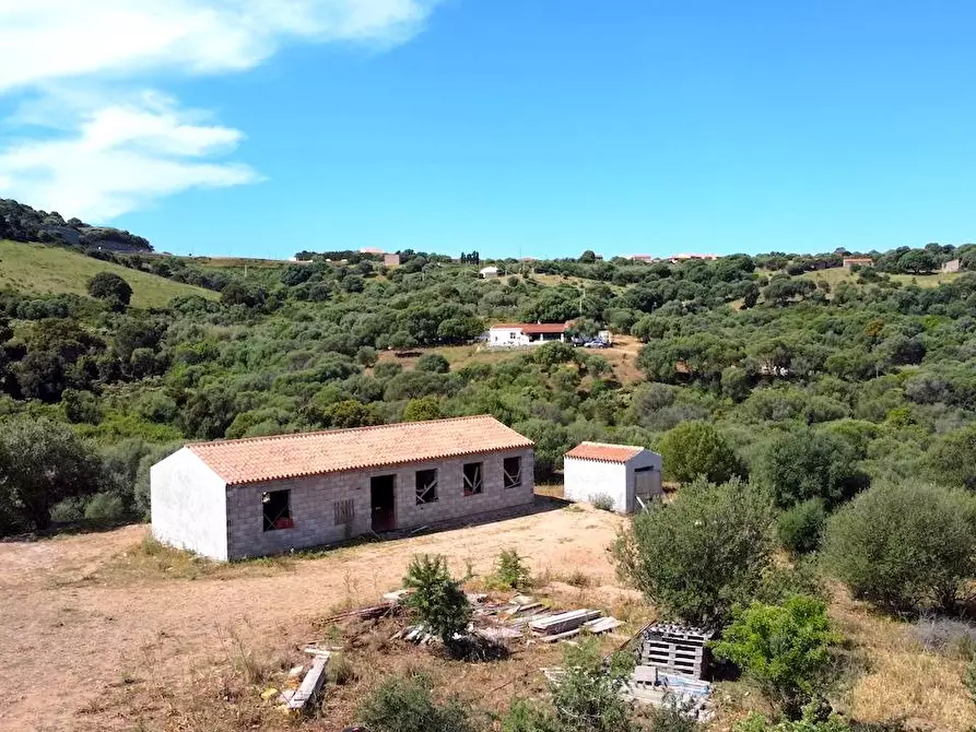 Immagine 15 di Rustico / casale in vendita  in Loc. Paduledda a Trinità D'agultu E Vignola