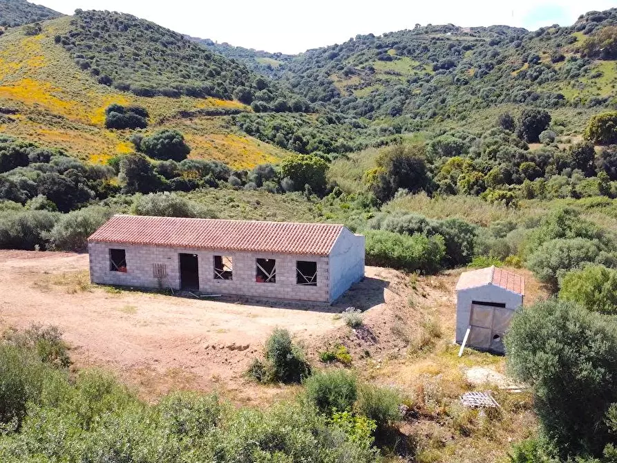 Immagine 3 di Rustico / casale in vendita  in Loc. Paduledda a Trinità D'agultu E Vignola