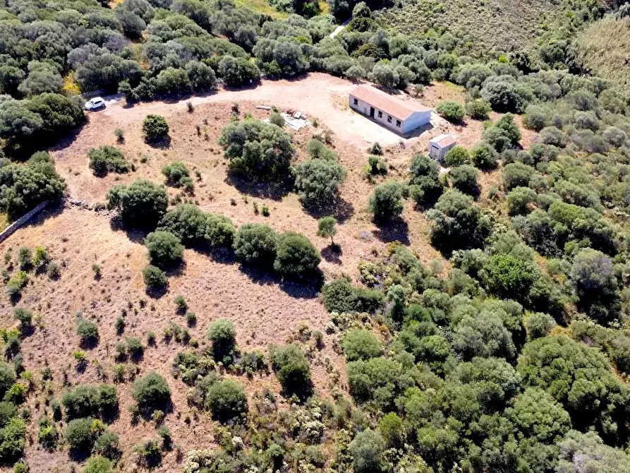 Immagine 16 di Rustico / casale in vendita  in Loc. Paduledda a Trinità D'agultu E Vignola