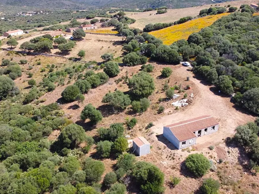 Immagine 4 di Rustico / casale in vendita  in Loc. Paduledda a Trinità D'agultu E Vignola