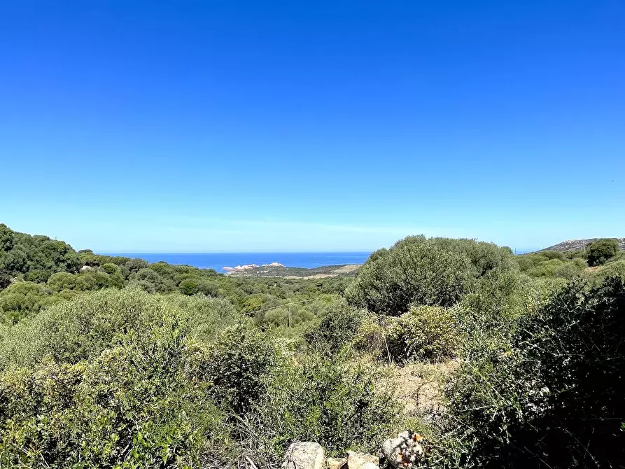 Immagine 25 di Rustico / casale in vendita  in Loc. Paduledda a Trinità D'agultu E Vignola