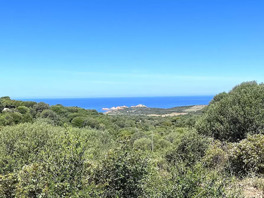 Immagine 26 di Rustico / casale in vendita  in Loc. Paduledda a Trinità D'agultu E Vignola