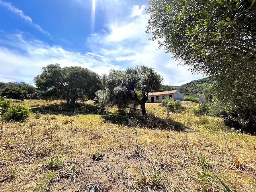 Immagine 27 di Rustico / casale in vendita  in Loc. Paduledda a Trinità D'agultu E Vignola
